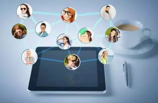 藍(lán)盟觀點(diǎn) 企業(yè)IT采購(gòu)成本高？善用上海軟件代理與開(kāi)發(fā)，這一招助您顯著降本增效